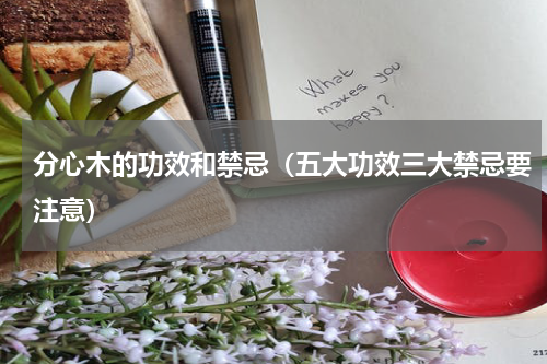 分心木的功效和禁忌（五大功效三大禁忌要注意）