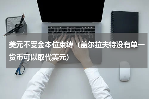 美元不受金本位束缚（盖尔拉夫特没有单一货币可以取代美元）