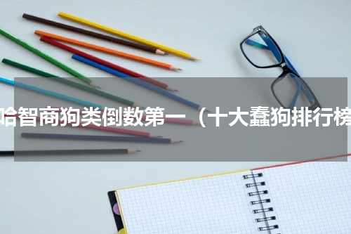 二哈智商狗类倒数第一（十大蠢狗排行榜）