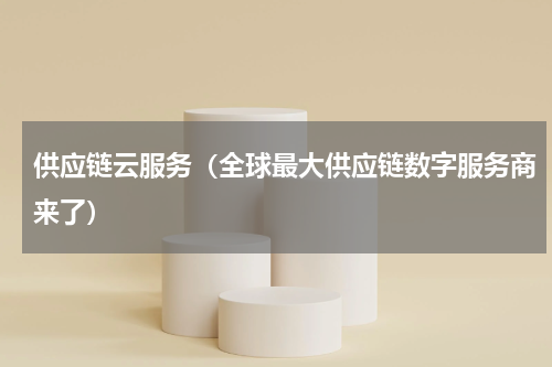 供应链云服务（全球最大供应链数字服务商来了）