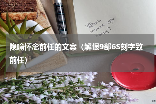 隐喻怀念前任的文案（解恨9部6S刻字致前任）