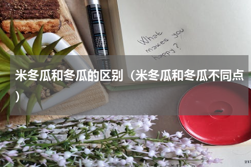 米冬瓜和冬瓜的区别（米冬瓜和冬瓜不同点）