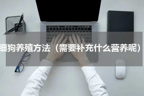 细狗养殖方法（需要补充什么营养呢）