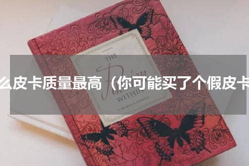 什么皮卡质量最高（你可能买了个假皮卡）