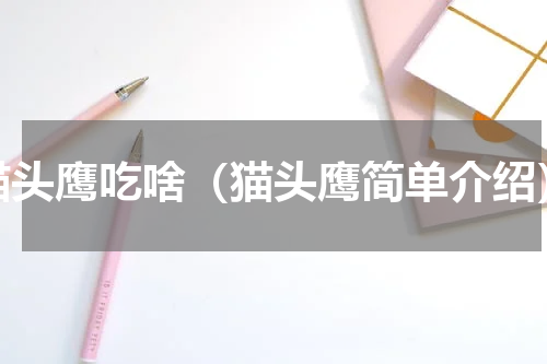 猫头鹰吃啥（猫头鹰简单介绍）