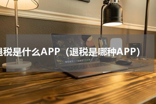 退税是什么APP（退税是哪种APP）