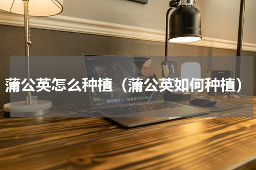 蒲公英怎么种植（蒲公英如何种植）