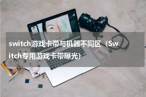 switch游戏卡带与机器不同区（Switch专用游戏卡带曝光）