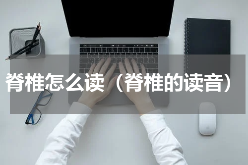 脊椎怎么读（脊椎的读音）