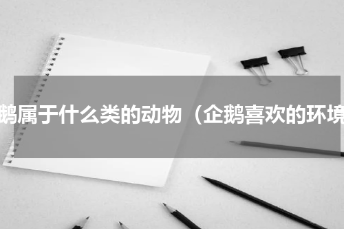 企鹅属于什么类的动物（企鹅喜欢的环境）