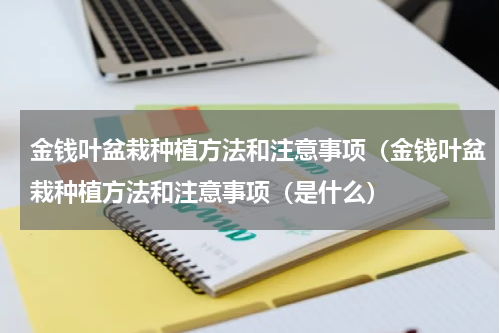 金钱叶盆栽种植方法和注意事项（金钱叶盆栽种植方法和注意事项（是什么）