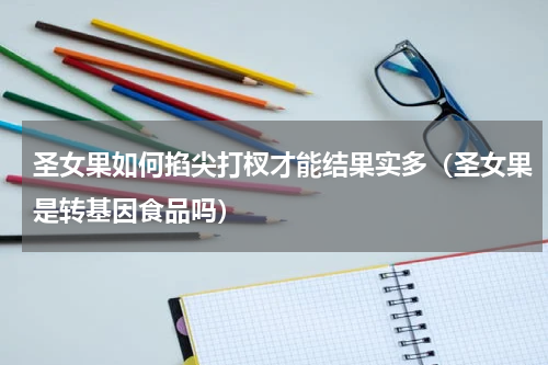 圣女果如何掐尖打杈才能结果实多（圣女果是转基因食品吗）