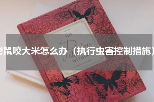 老鼠咬大米怎么办（执行虫害控制措施）