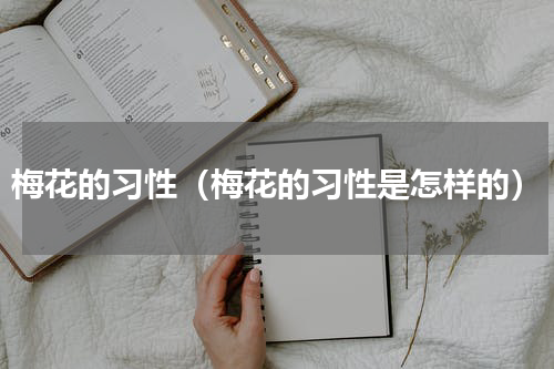 梅花的习性（梅花的习性是怎样的）