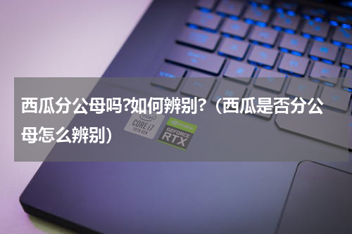 西瓜分公母吗?如何辨别?（西瓜是否分公母怎么辨别）