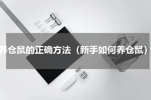 养仓鼠的正确方法（新手如何养仓鼠）