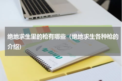 绝地求生里的枪有哪些（绝地求生各种枪的介绍）