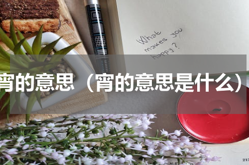 宵的意思（宵的意思是什么）