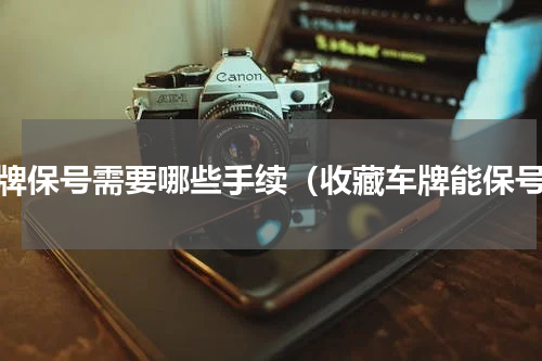 车牌保号需要哪些手续（收藏车牌能保号）