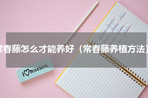 常春藤怎么才能养好（常春藤养植方法）