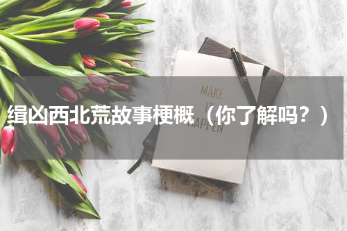 缉凶西北荒故事梗概（你了解吗？）