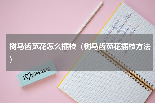树马齿苋花怎么插枝（树马齿苋花插枝方法）