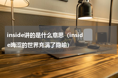 inside讲的是什么意思（inside晦涩的世界充满了隐喻）