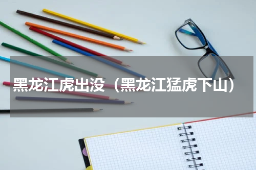 黑龙江虎出没（黑龙江猛虎下山）