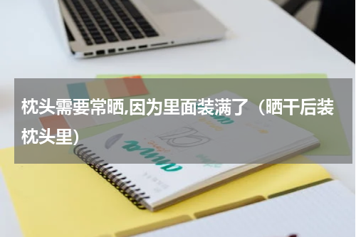 枕头需要常晒,因为里面装满了（晒干后装枕头里）
