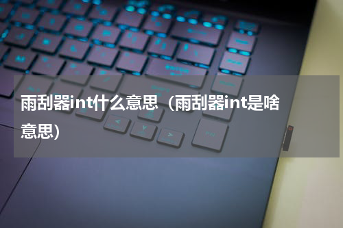 雨刮器int什么意思（雨刮器int是啥意思）