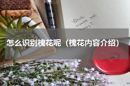 怎么识别槐花呢（槐花内容介绍）