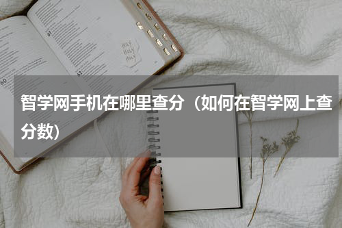 智学网手机在哪里查分（如何在智学网上查分数）