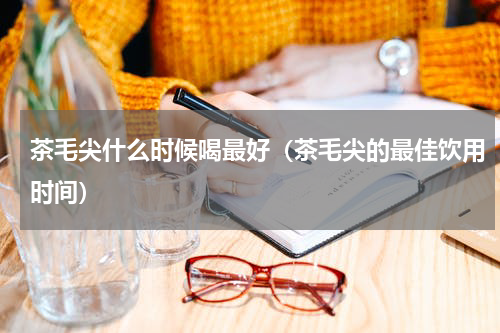 茶毛尖什么时候喝最好（茶毛尖的最佳饮用时间）
