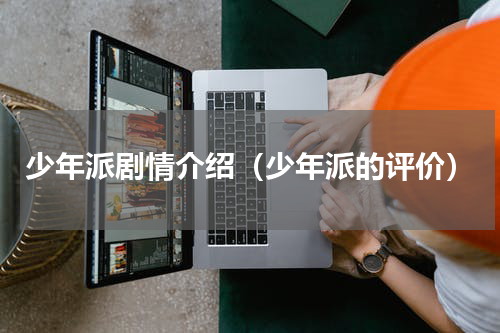 少年派剧情介绍（少年派的评价）