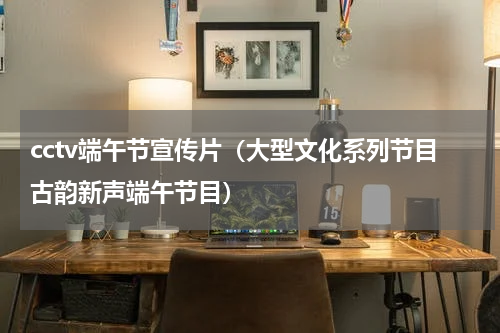 cctv端午节宣传片（大型文化系列节目古韵新声端午节目）