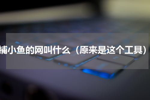 捕小鱼的网叫什么（原来是这个工具）