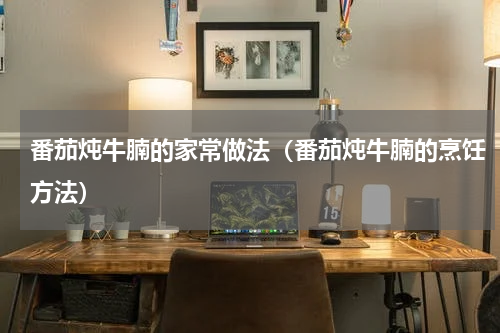 番茄炖牛腩的家常做法（番茄炖牛腩的烹饪方法）