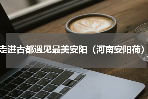 走进古都遇见最美安阳（河南安阳荷）