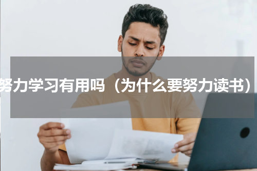 努力学习有用吗（为什么要努力读书）