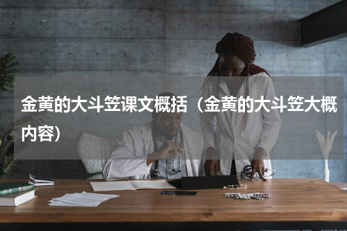金黄的大斗笠课文概括（金黄的大斗笠大概内容）