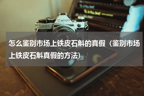 怎么鉴别市场上铁皮石斛的真假（鉴别市场上铁皮石斛真假的方法）