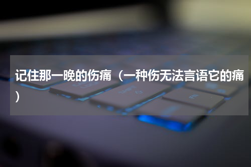 记住那一晚的伤痛（一种伤无法言语它的痛）