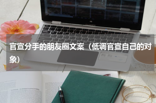 官宣分手的朋友圈文案（低调官宣自己的对象）