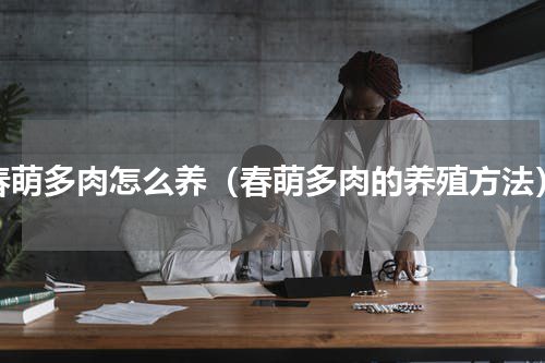 春萌多肉怎么养（春萌多肉的养殖方法）