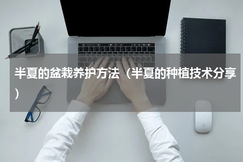 半夏的盆栽养护方法（半夏的种植技术分享）