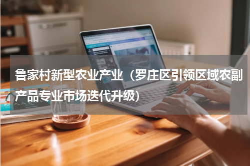 鲁家村新型农业产业（罗庄区引领区域农副产品专业市场迭代升级）