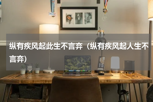 纵有疾风起此生不言弃（纵有疾风起人生不言弃）