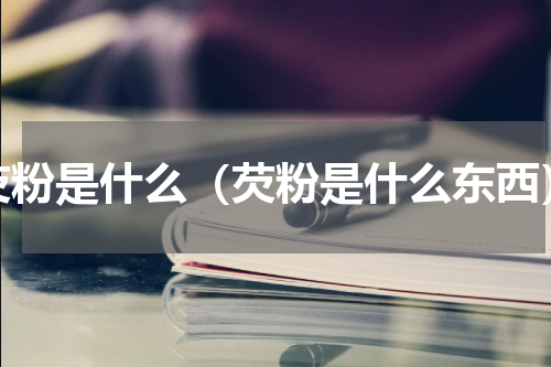 芡粉是什么（芡粉是什么东西）