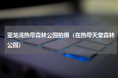 亚龙湾热带森林公园拍摄（在热带天堂森林公园）