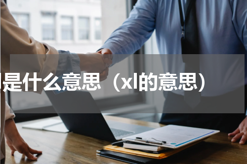 xl是什么意思（xl的意思）